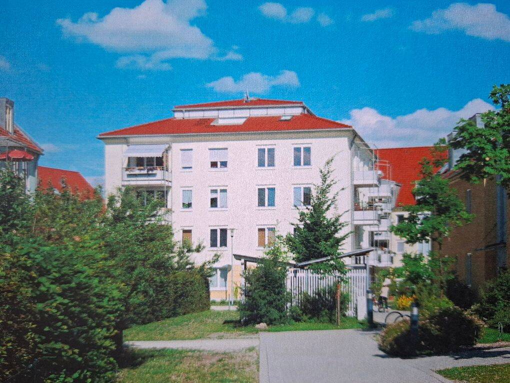 image-72724850