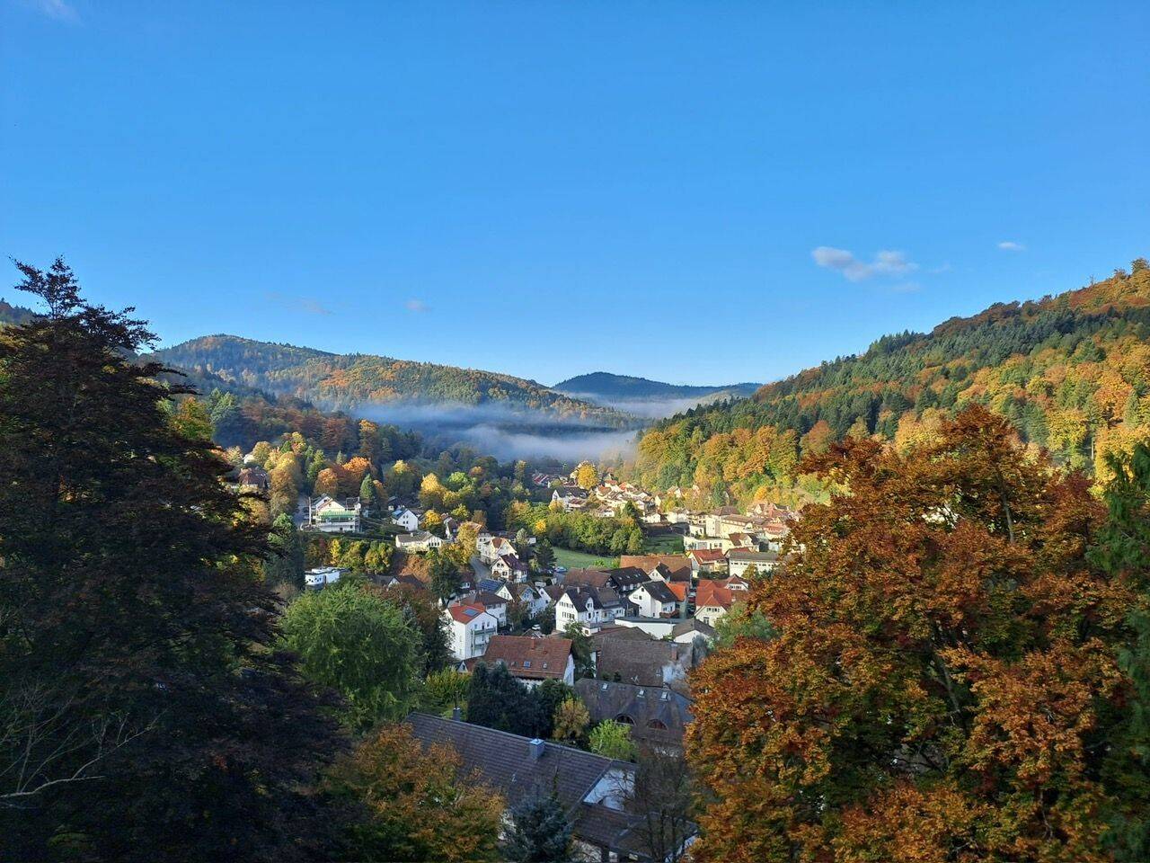 Sonniges Logenplatz-Feeling: Einziehen und Wohlfühlen im Schwarzwald., 76332 Bad Herrenalb