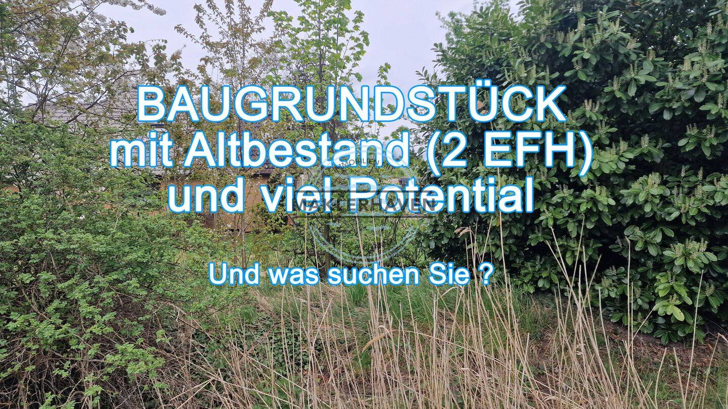 image-72398780