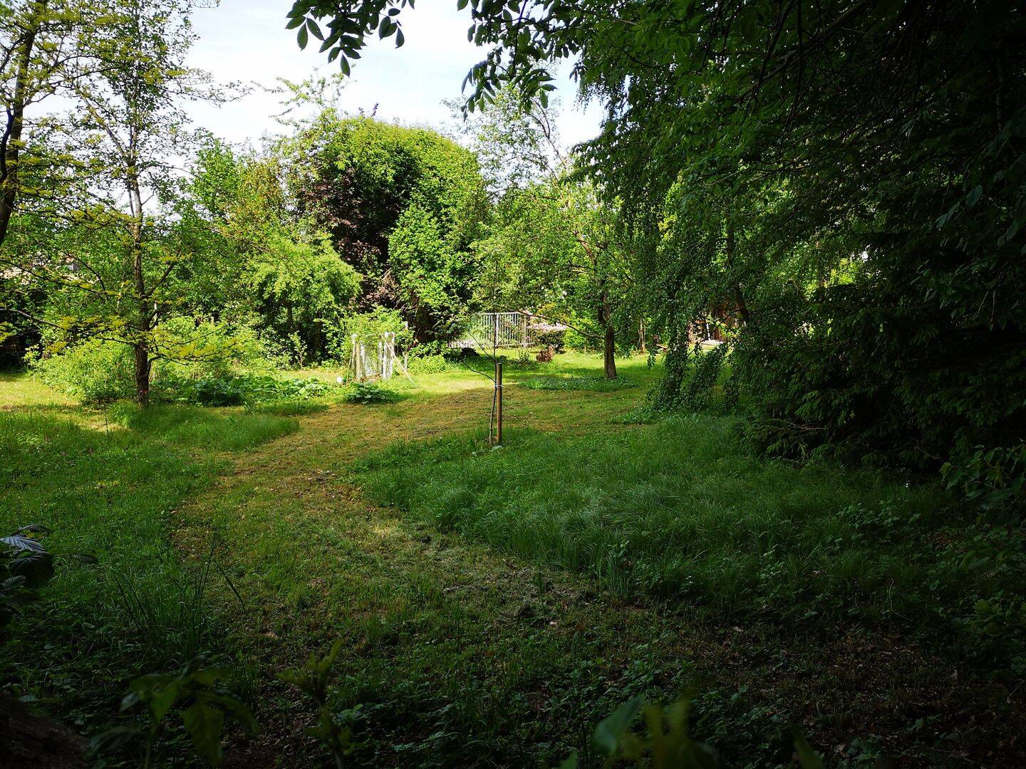 image-72742297