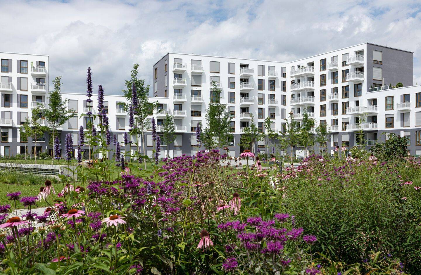 PANDION PENTA gehobene 2 Zimmer Wohnung, barrierefrei – Einbauküche – großzügiges Bad- Loggia, 81245 München (Aubing-Lochhausen-Langwied Pasing-Obermenzing)