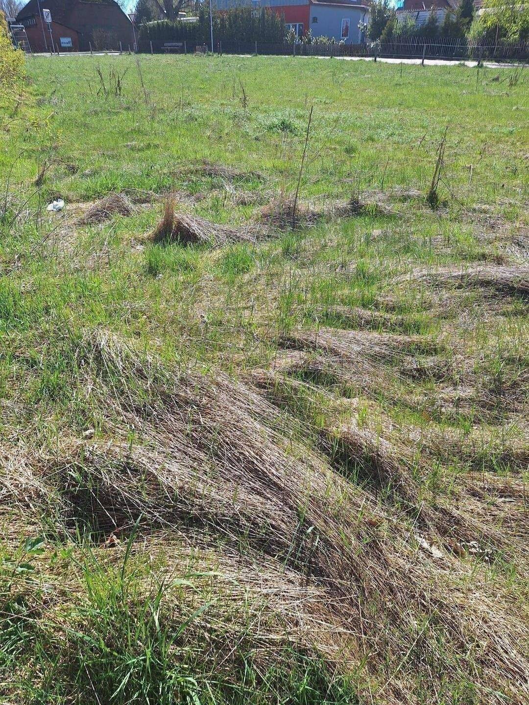 Sofort bebaubares Baugrundstück – voll erschlossen, ruhige Lage & ideale Voraussetzungen für Ihr Eigenheim, 21376 Eyendorf