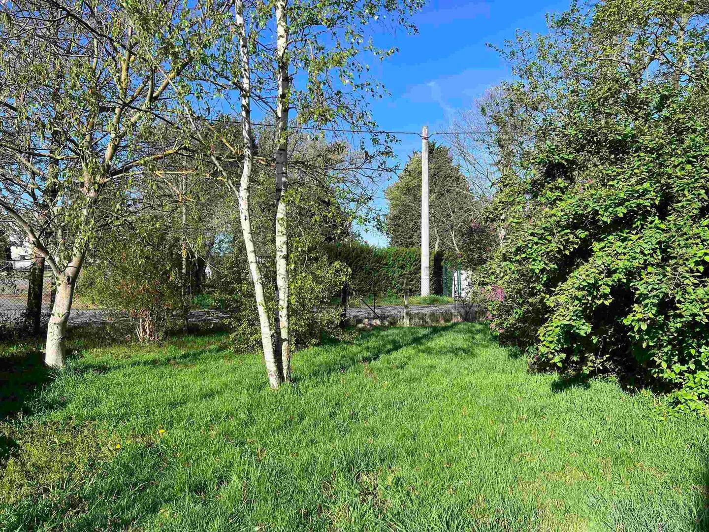 Machern-wunderschönes großes Baugrundstück mit Baumbestand, 4828 Machern