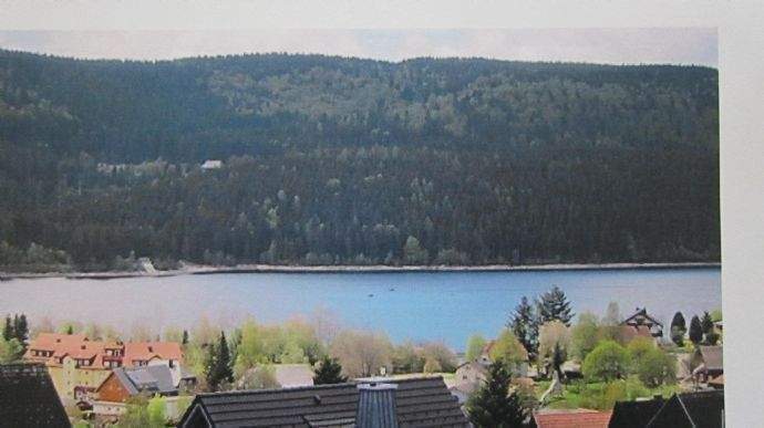 image-72776862
