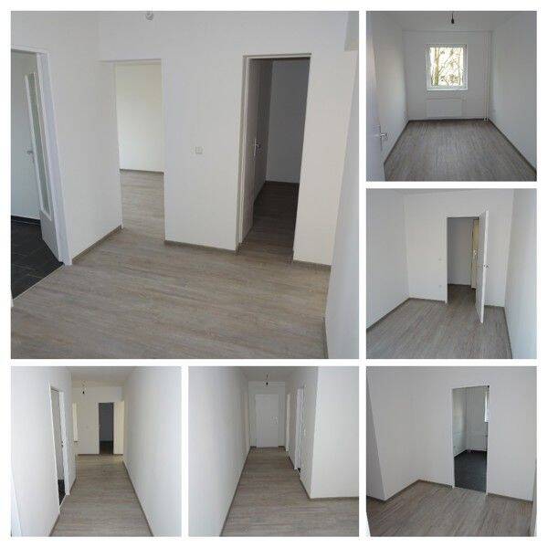 Zuhause fühlen: gemütliche 2-Zimmer-Wohnung in grüner Lage, 13581 Berlin (Spandau)