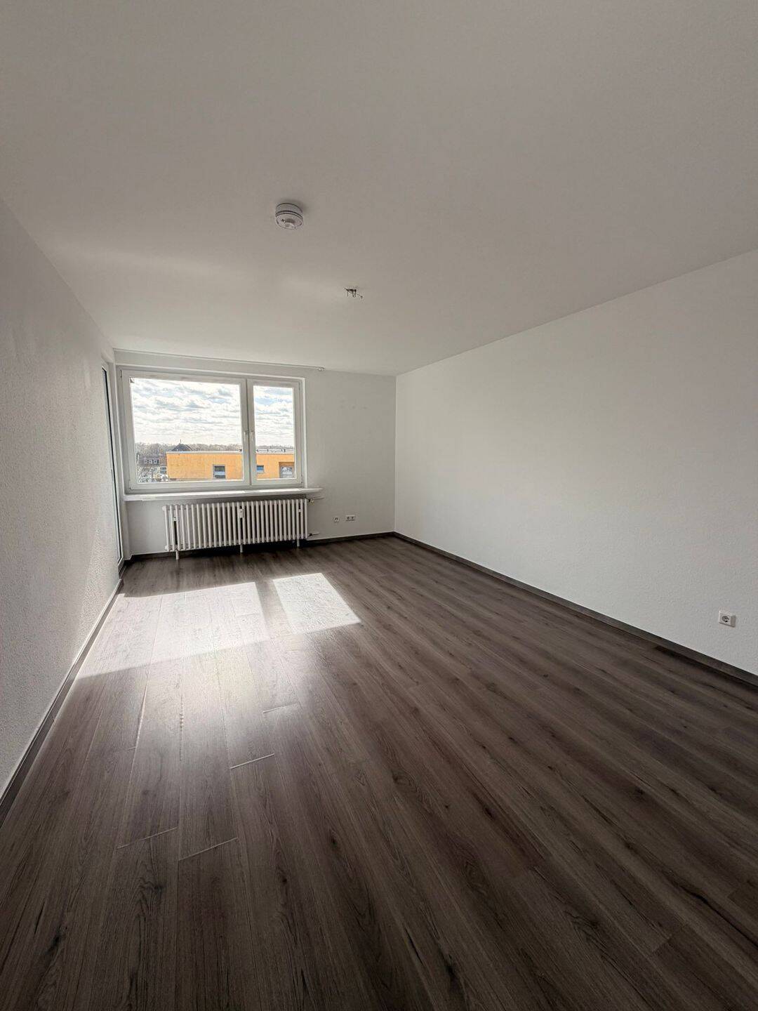 image-72804002