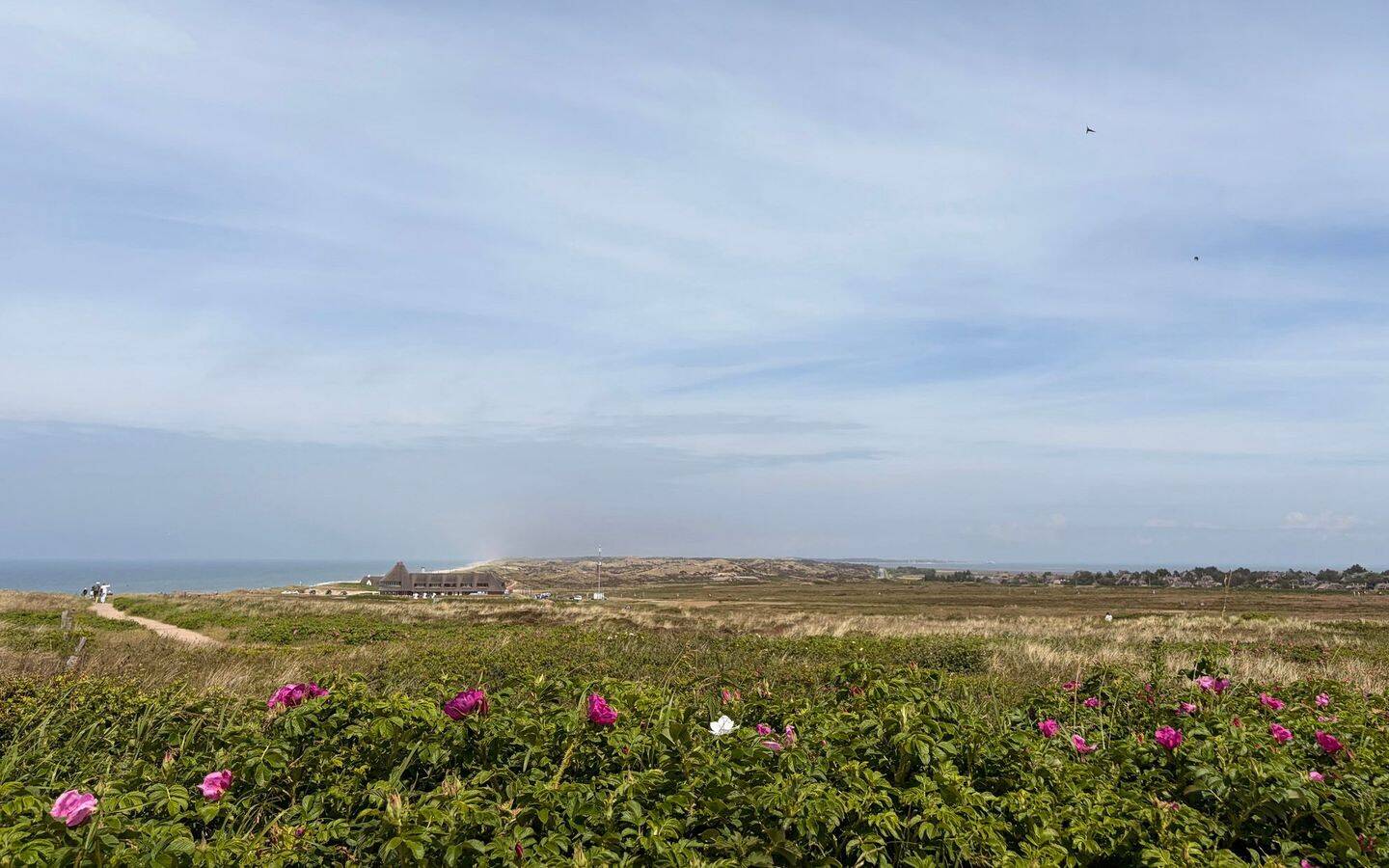 Kleine Perle mit einzigartigem Dünen-und Meerblick, 25999 Kampen (Sylt)