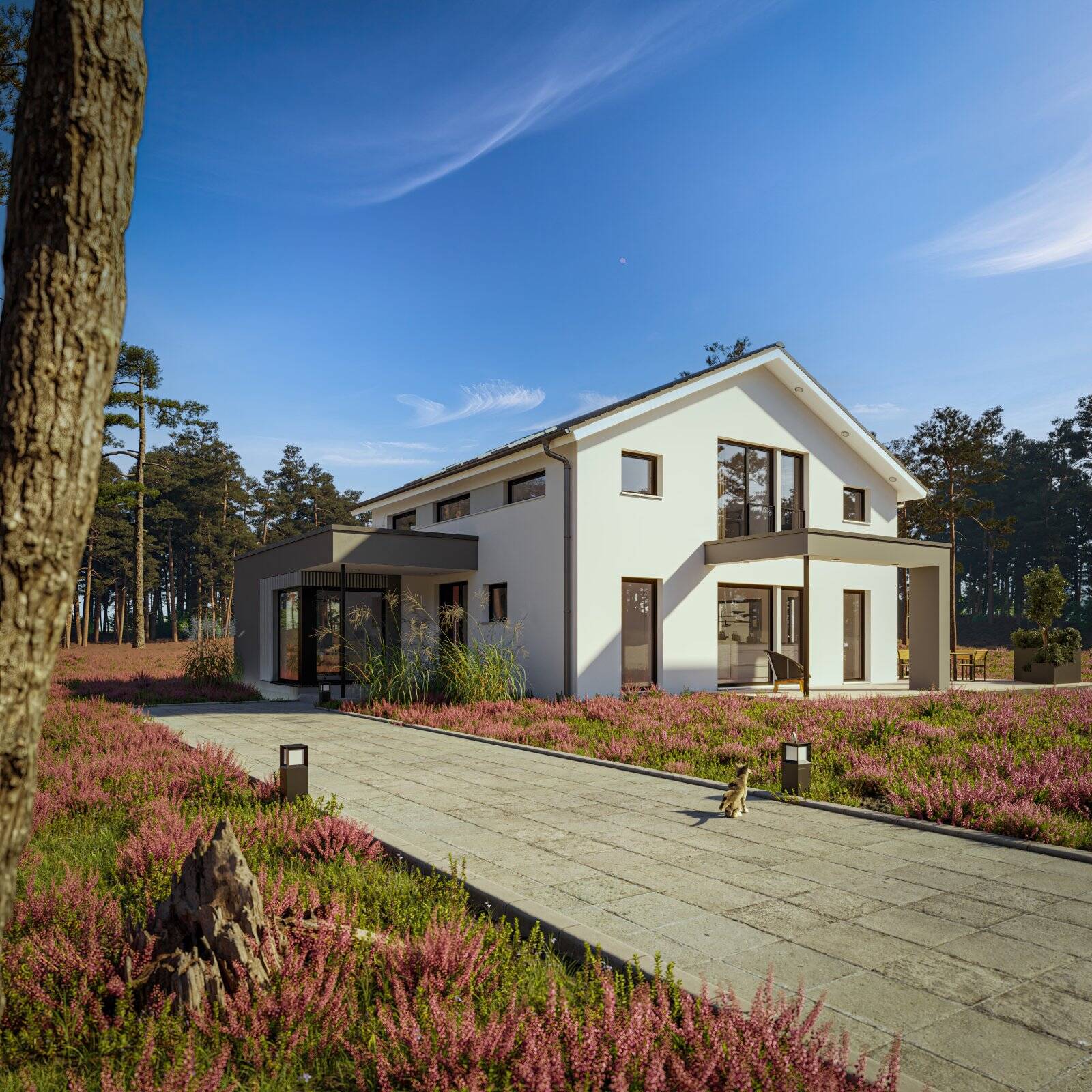 image-72712830
