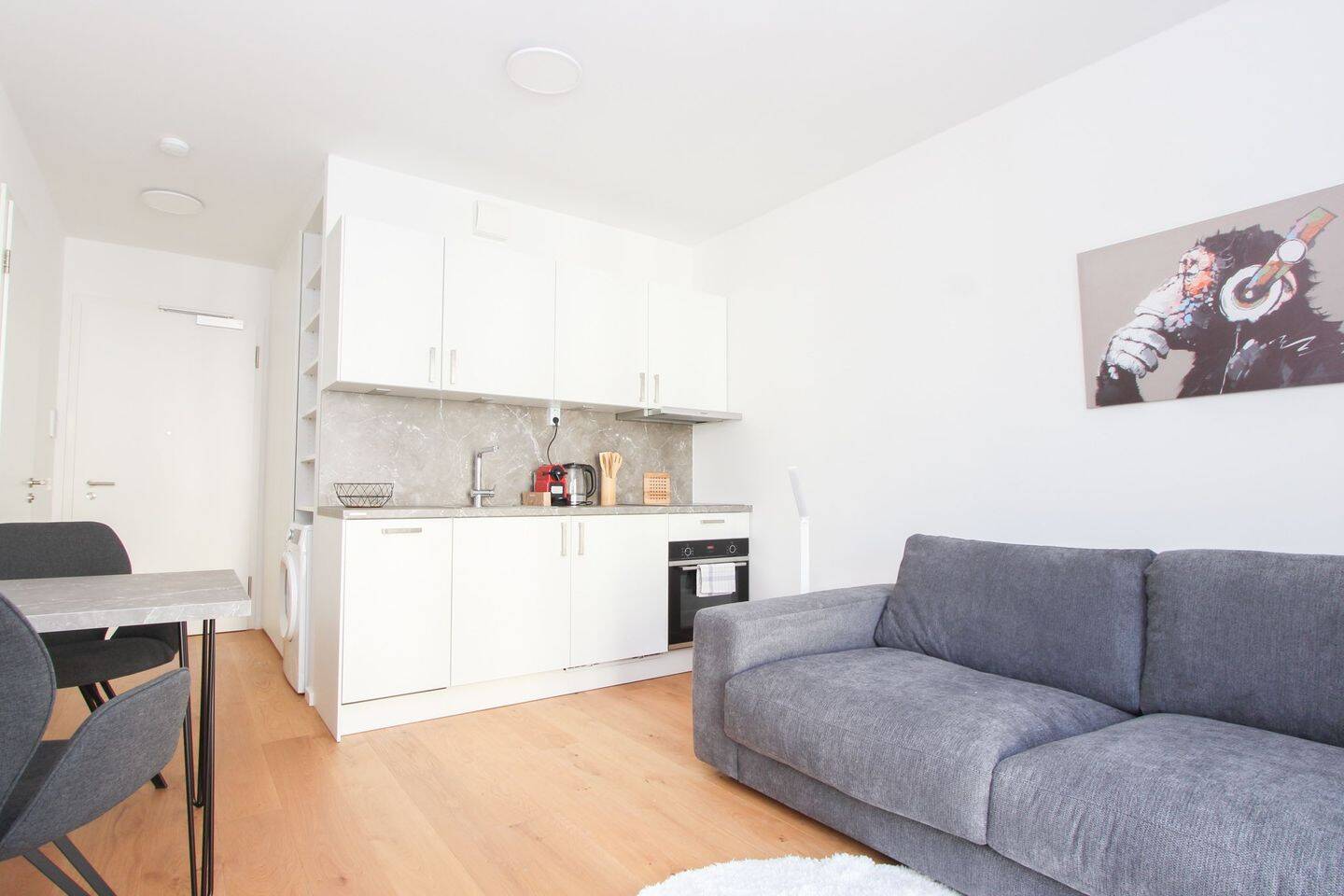 Möbliertes 1,5-Zimmer-Apartment mit Loggia, 81543 München (Au-Haidhausen Untergiesing-Harlaching)