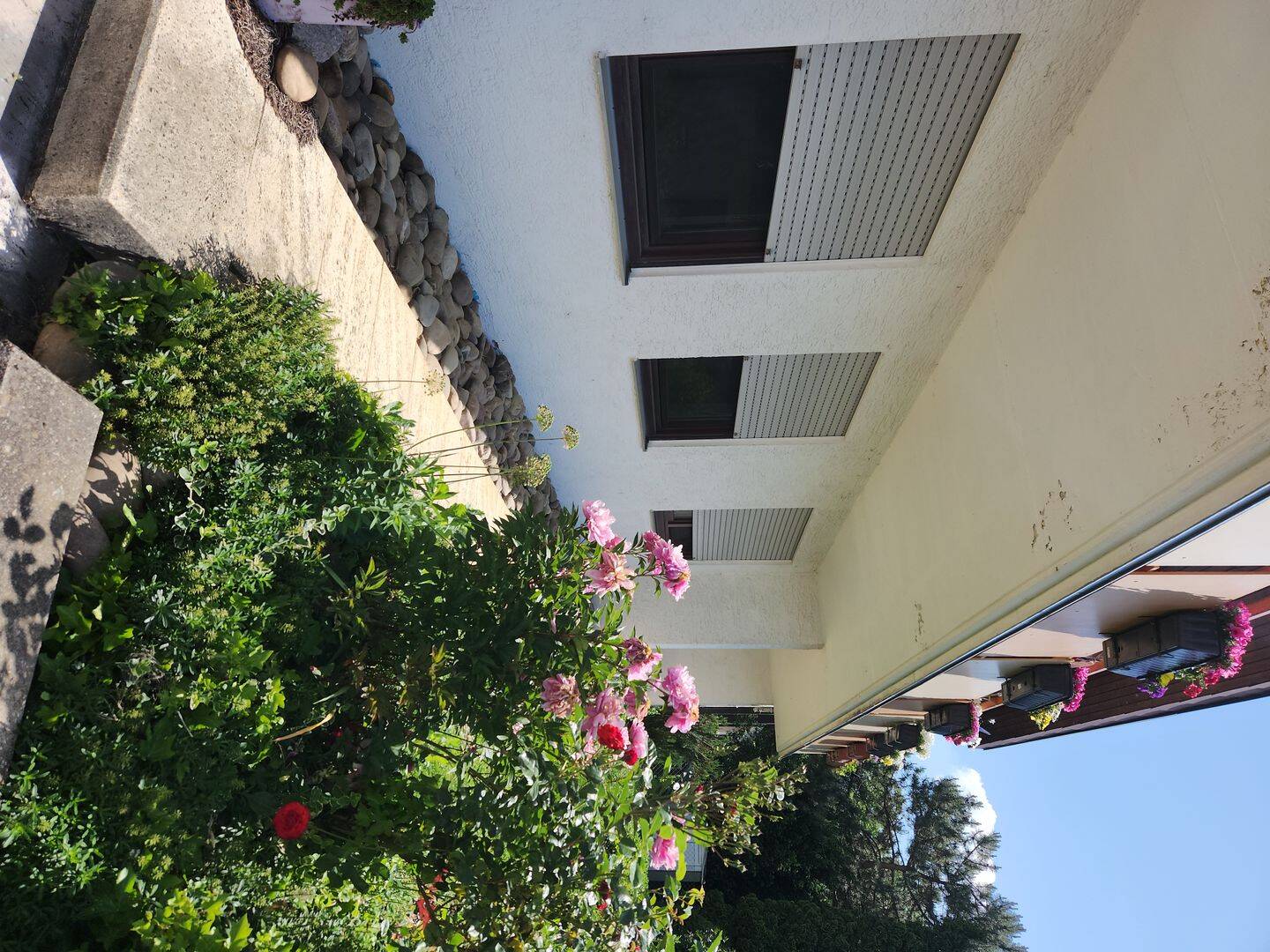 image-72848817