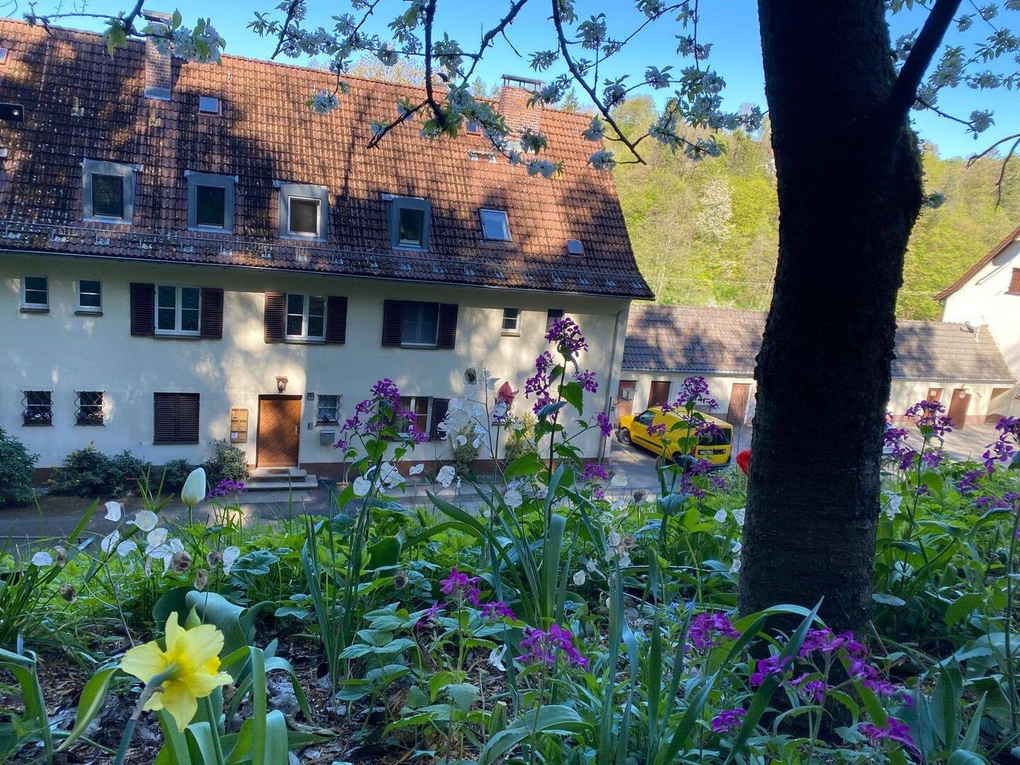 Preiskracher!! Wunderschöne, gepflegte und renovierte Dachgeschosswohnung in Trausnitz – Frei!, 92555 Trausnitz