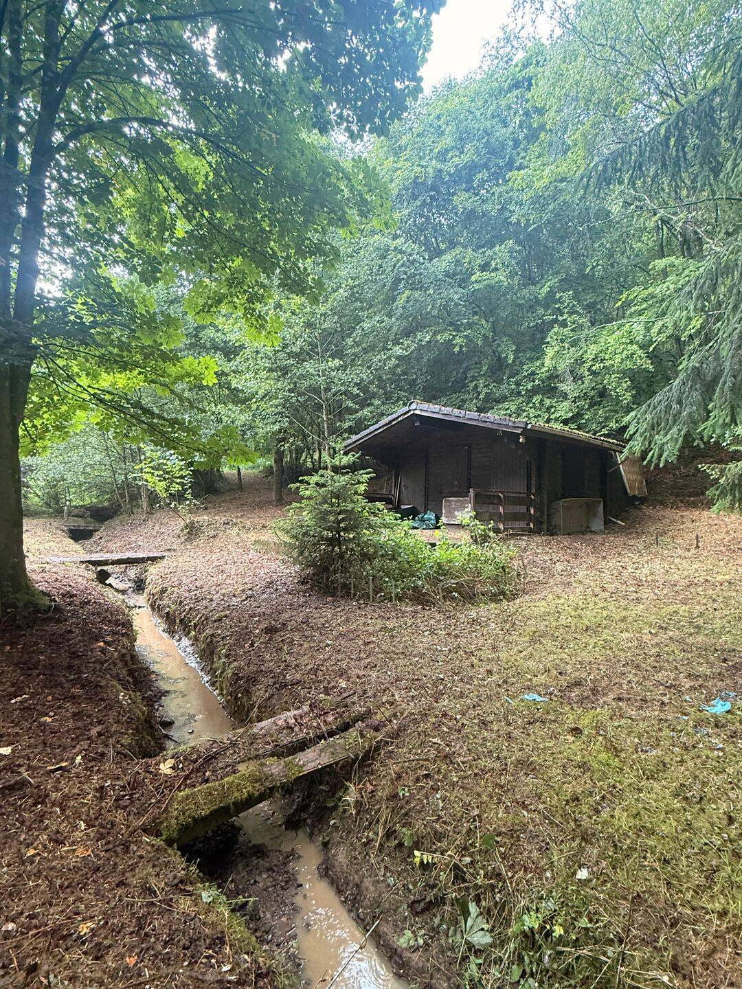 Wochenendgrundstück mit Bachlauf in Tiefenstein/Tiefenbach, 55743 Idar-Oberstein