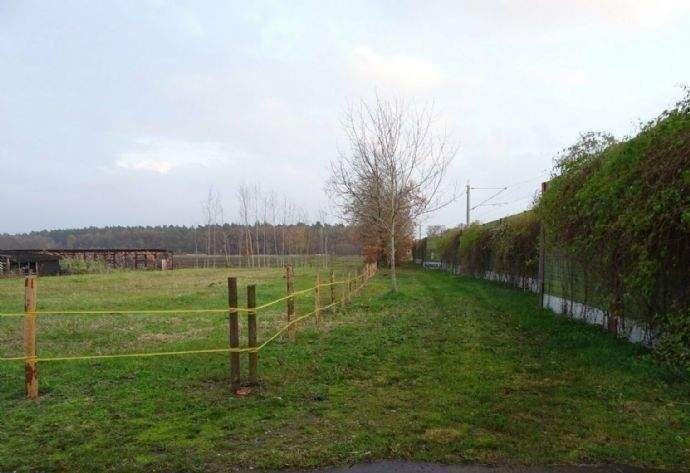 Großes Wohngrundstück +++ sofort verfügbar, 21449 Radbruch