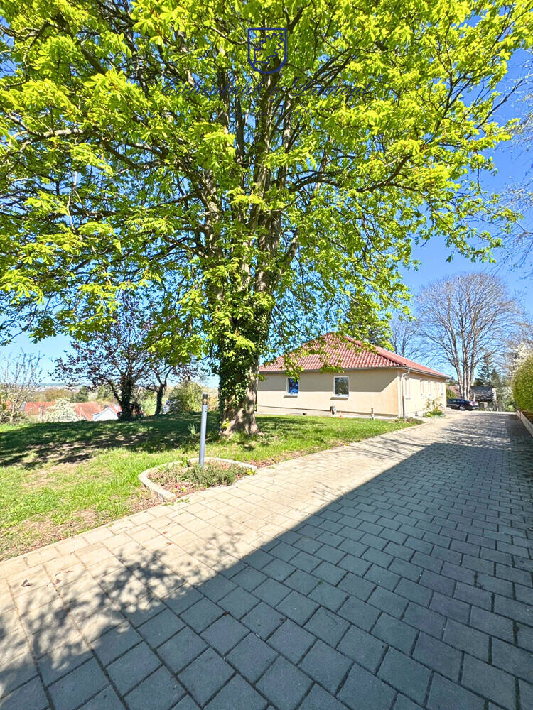 image-72503442