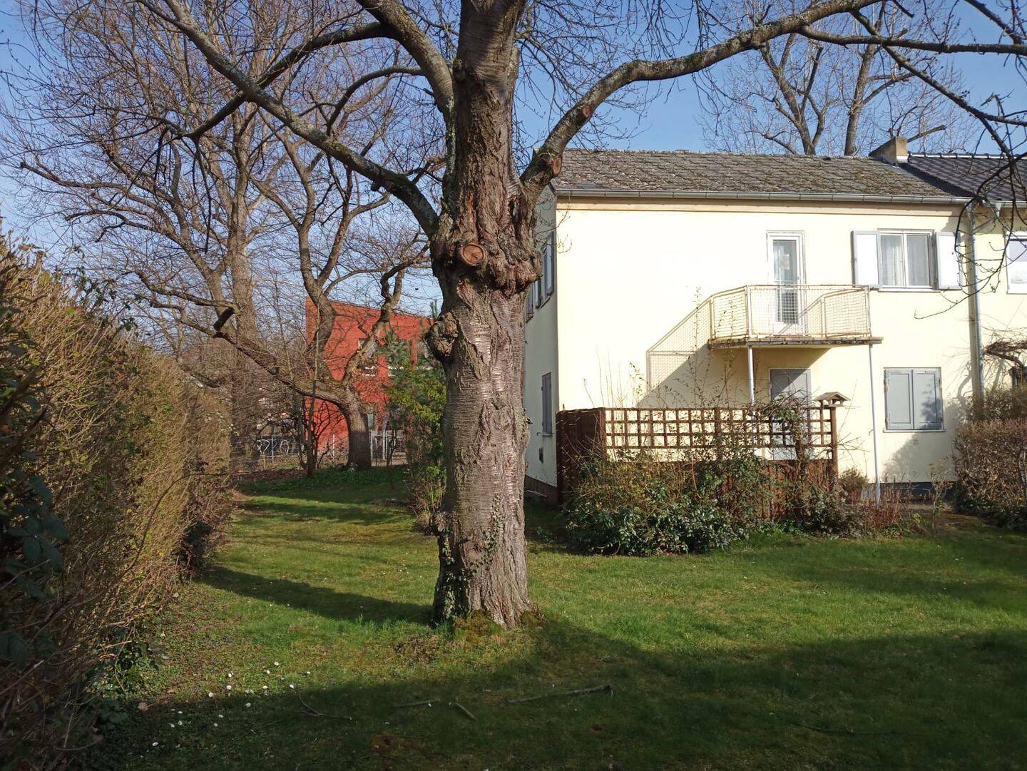 DHH; großer, grüner Garten, ruhige Lage, 65933 Frankfurt am Main (Griesheim)