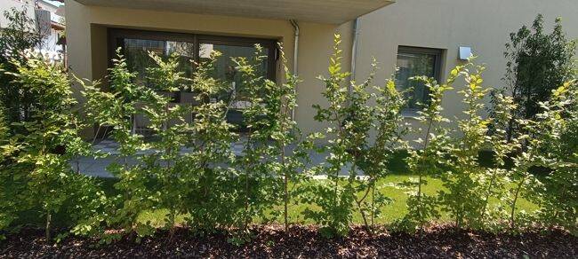 Luxus – PERFEKT !!!, 94072 Bad Füssing