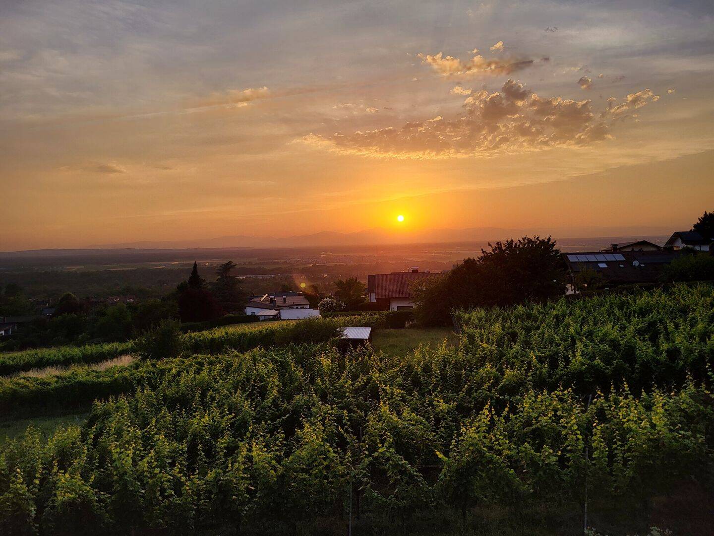 Schnell sein lohnt sich! Schöne Wohnung mit Ausblick in Bamlach – direkt am Golfplatz!, 79415 Bad Bellingen