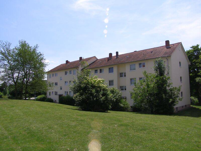 image-72500499
