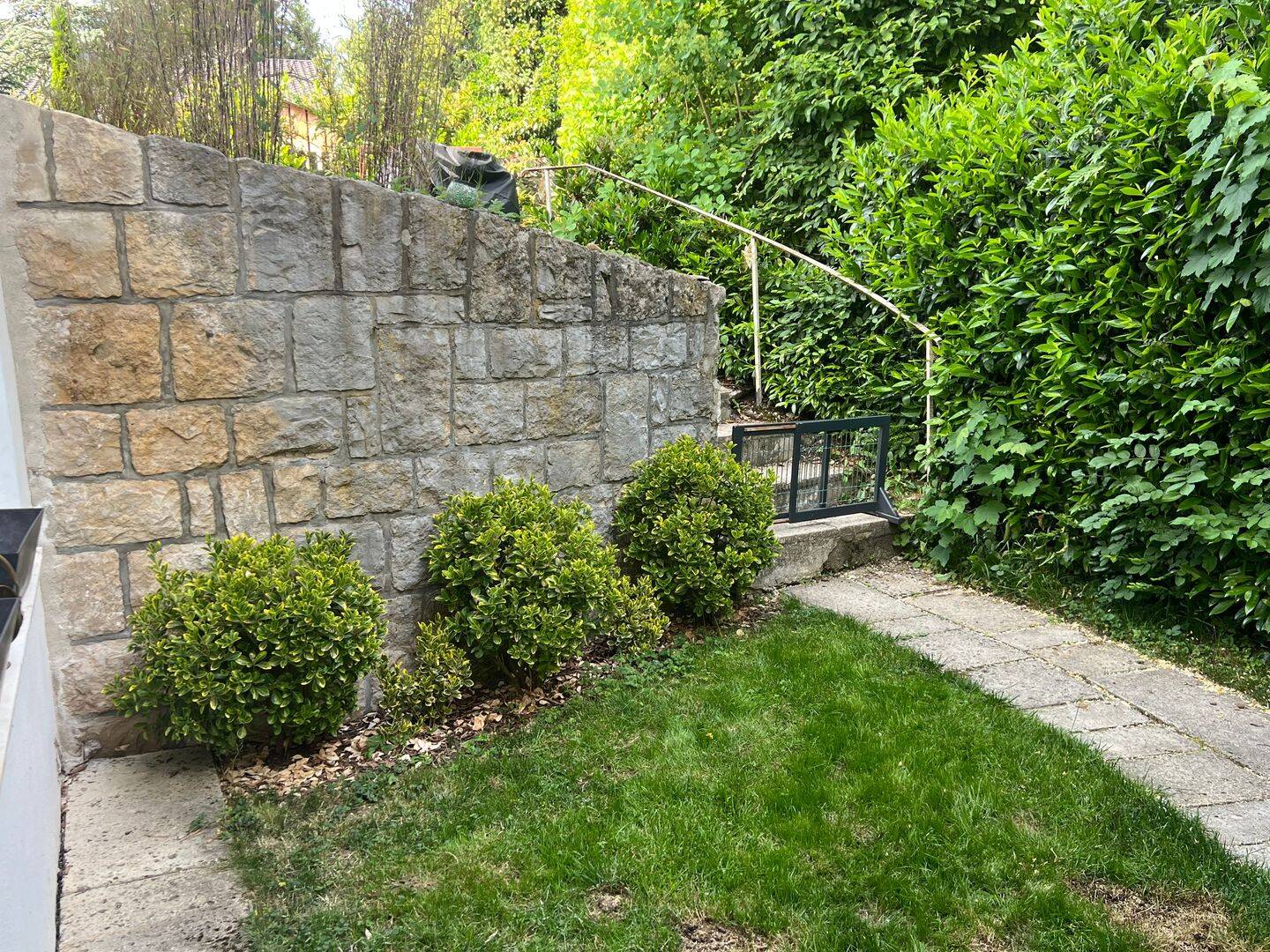 image-72906698
