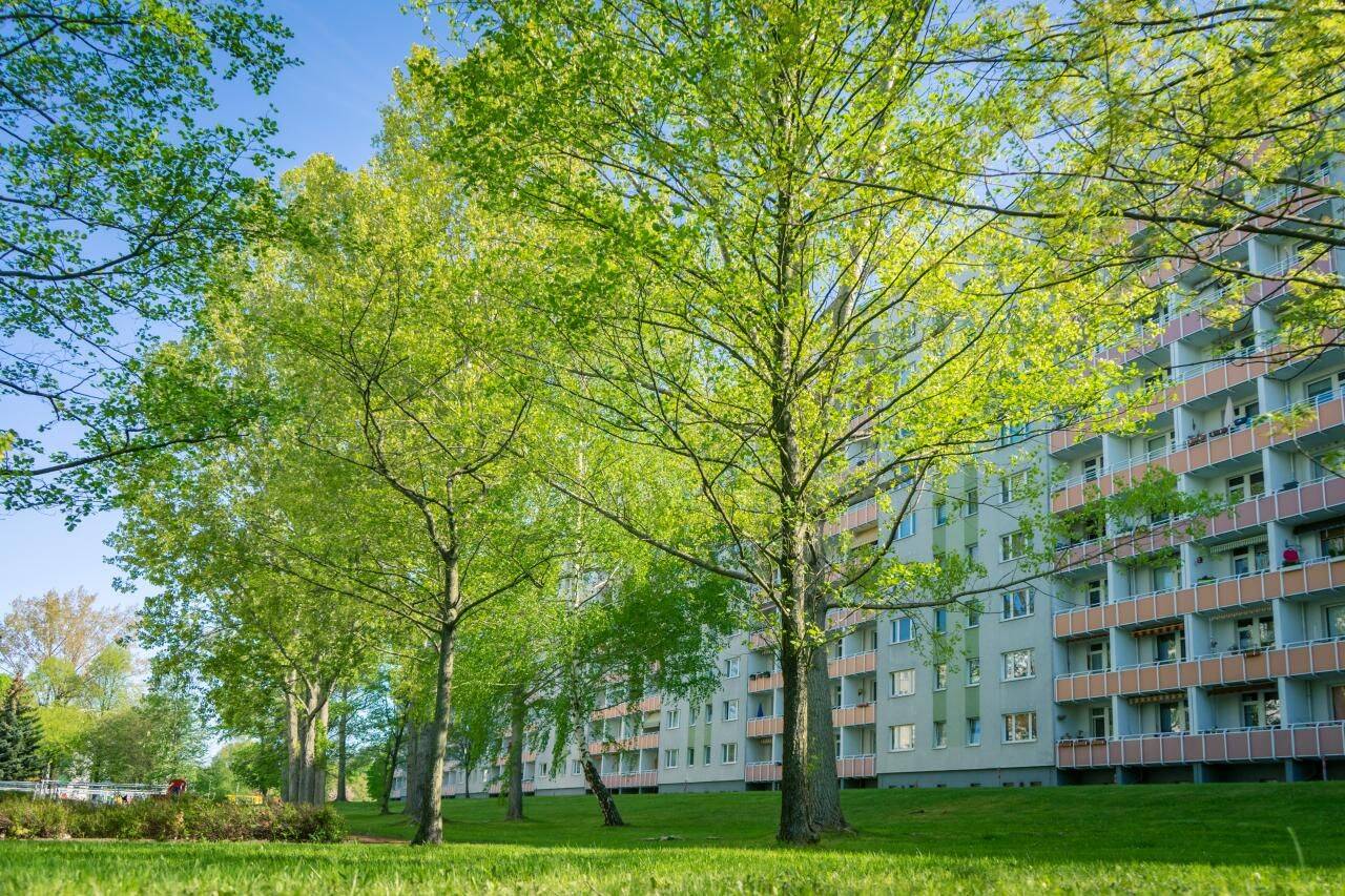 NEU sanierte 3-Raum-Wohnung in begrünter Wohnlage – Chemnitz – Bild 1 von 3