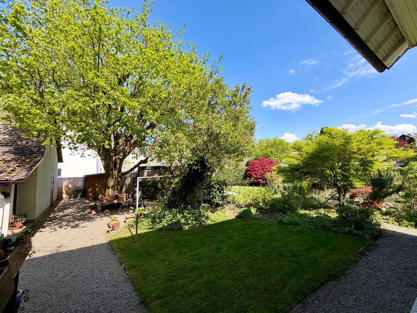 image-72468505