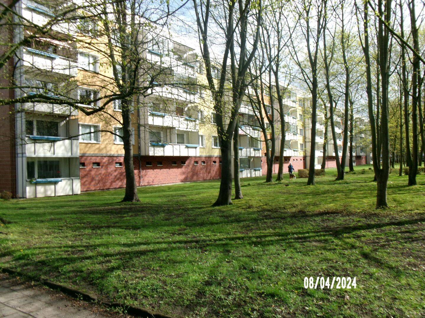 image-72656730