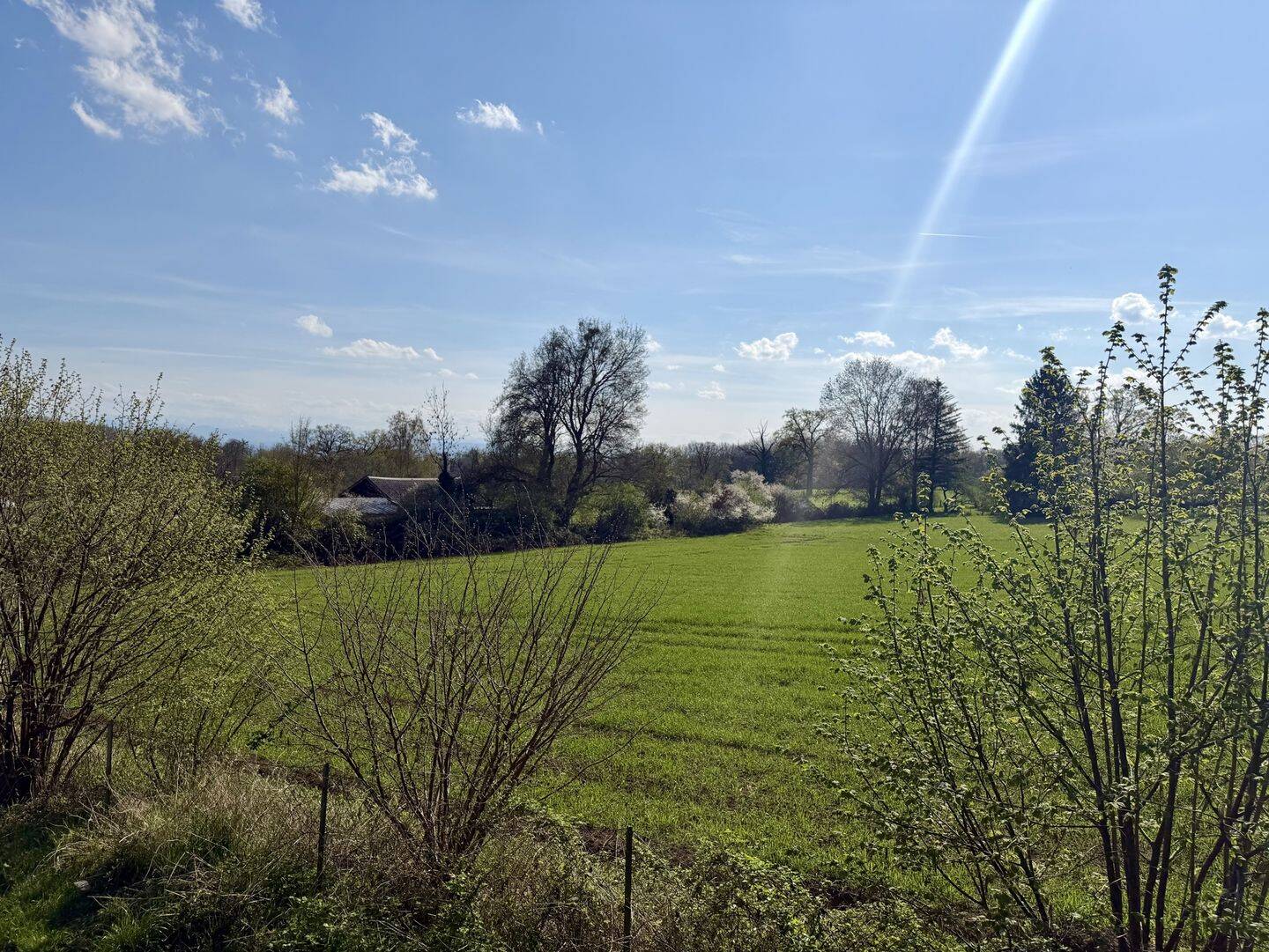 Wohnidylle – Gemütlicher Bungalow auf großem Grundstück mitten im Grün bei Herrsching am Ammersee, 82211 Herrsching a. Ammersee