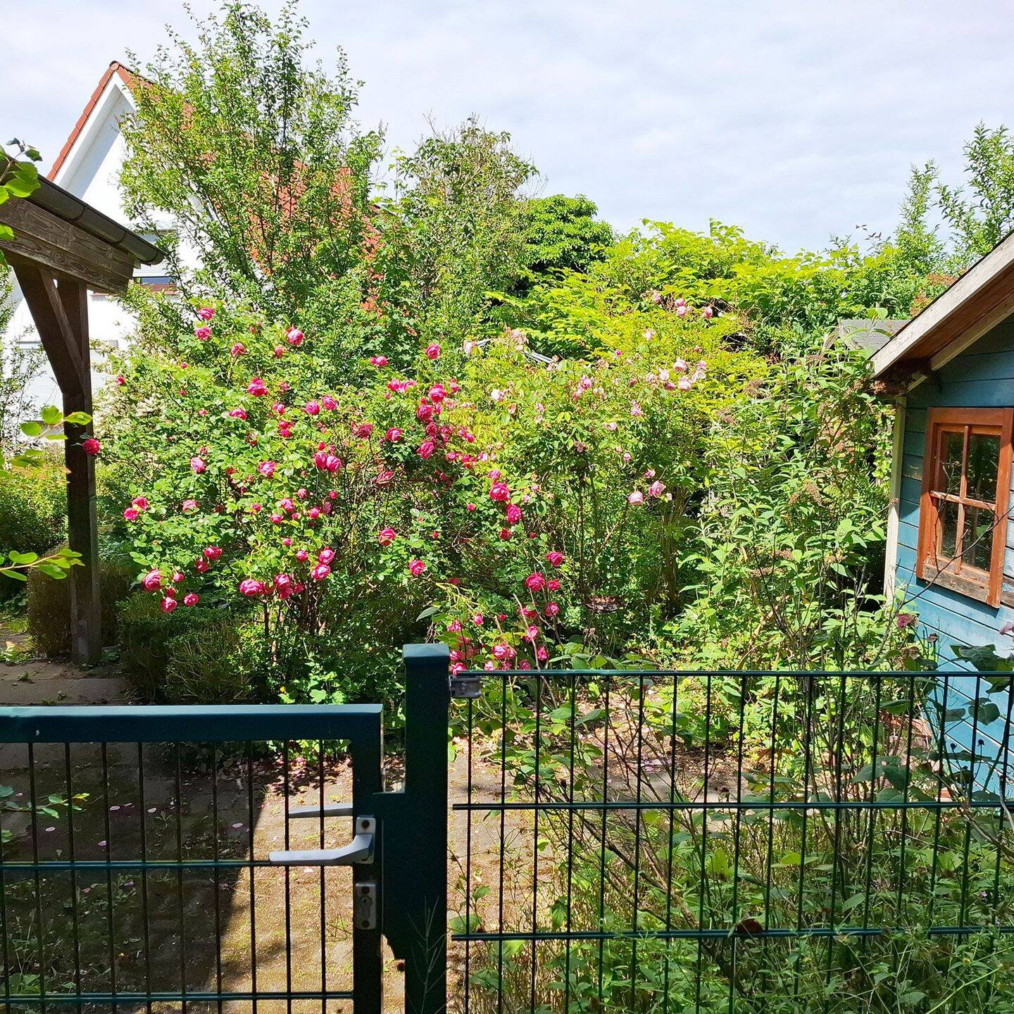 Ein Zuhause mit Zukunft! … Einfamilienhaus in Preetz, 24211 Preetz