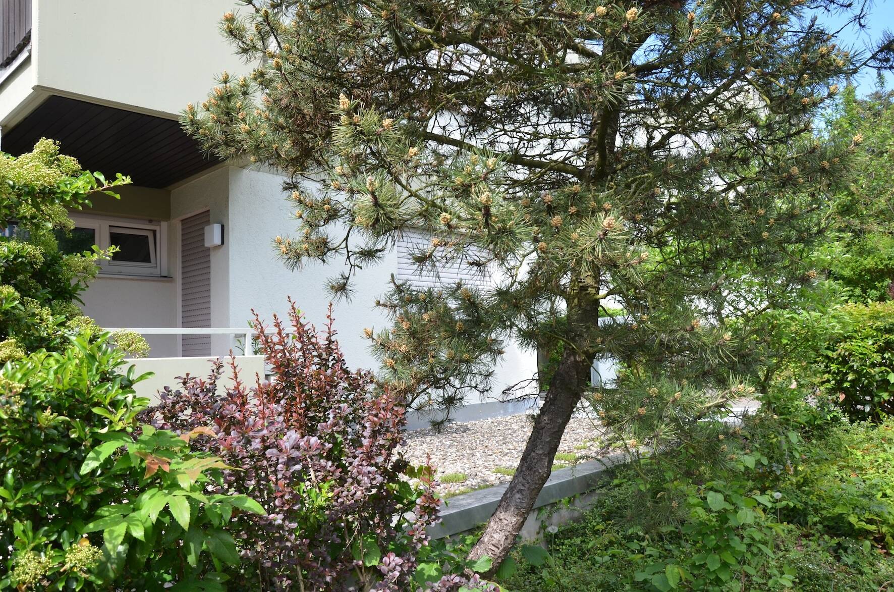 Schön geschnittenes möbliertes 1 Zimmer Apartment, in sehr ruhiger Lage mit Balkon und Gartenblick, Veitshöchheim, 97209 Veitshöchheim