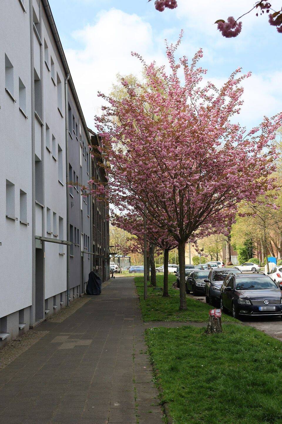 Geräumige 2,5 Raum Wohnung in zentraler Lage, 44649 Herne (Baukau-West Crange Röhlinghausen Wanne)