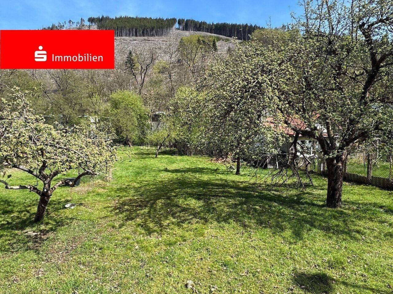 ***Sie suchen die Thüringer Waldnähe?***, 99885 Luisenthal