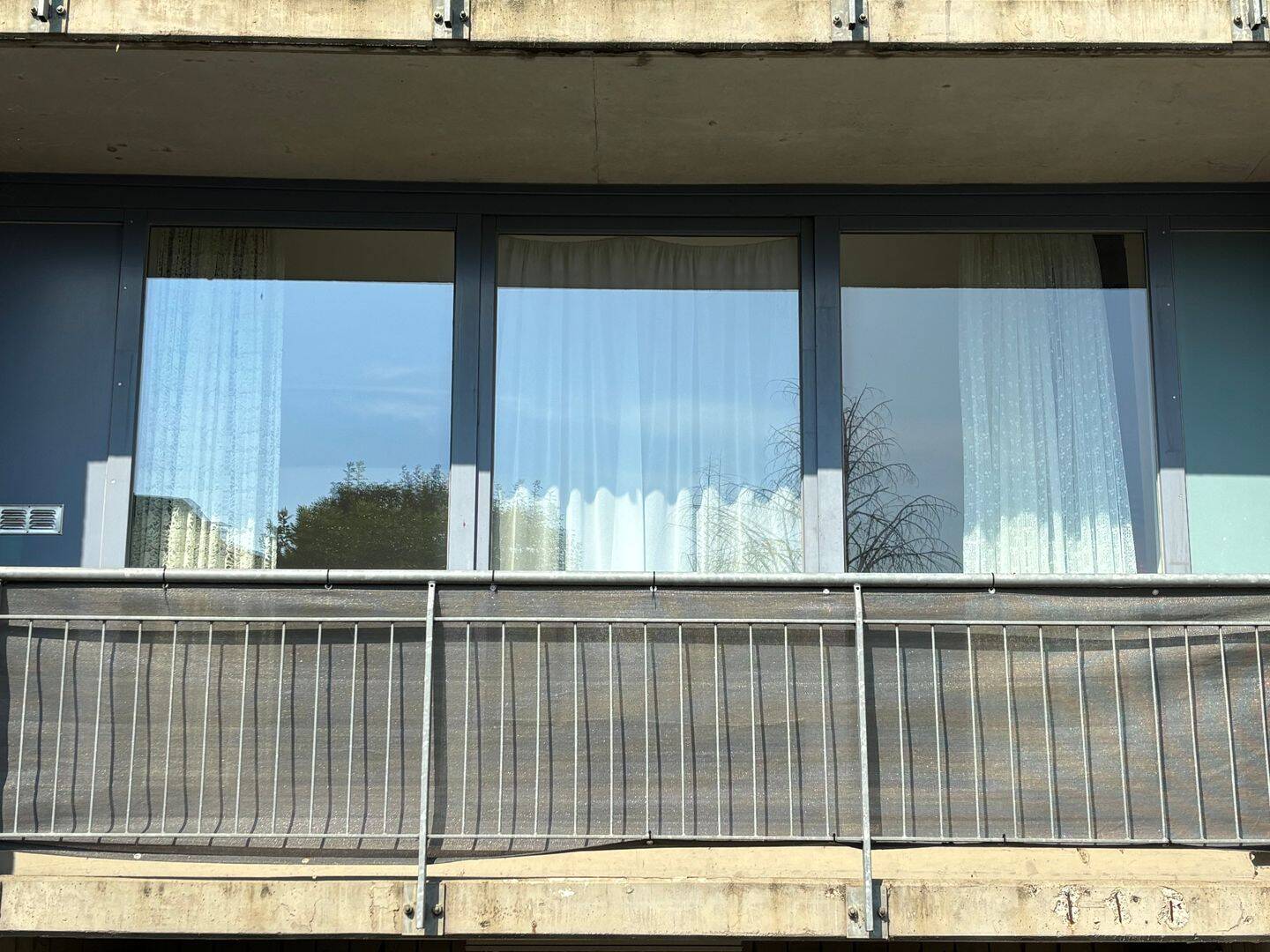 image-72859059