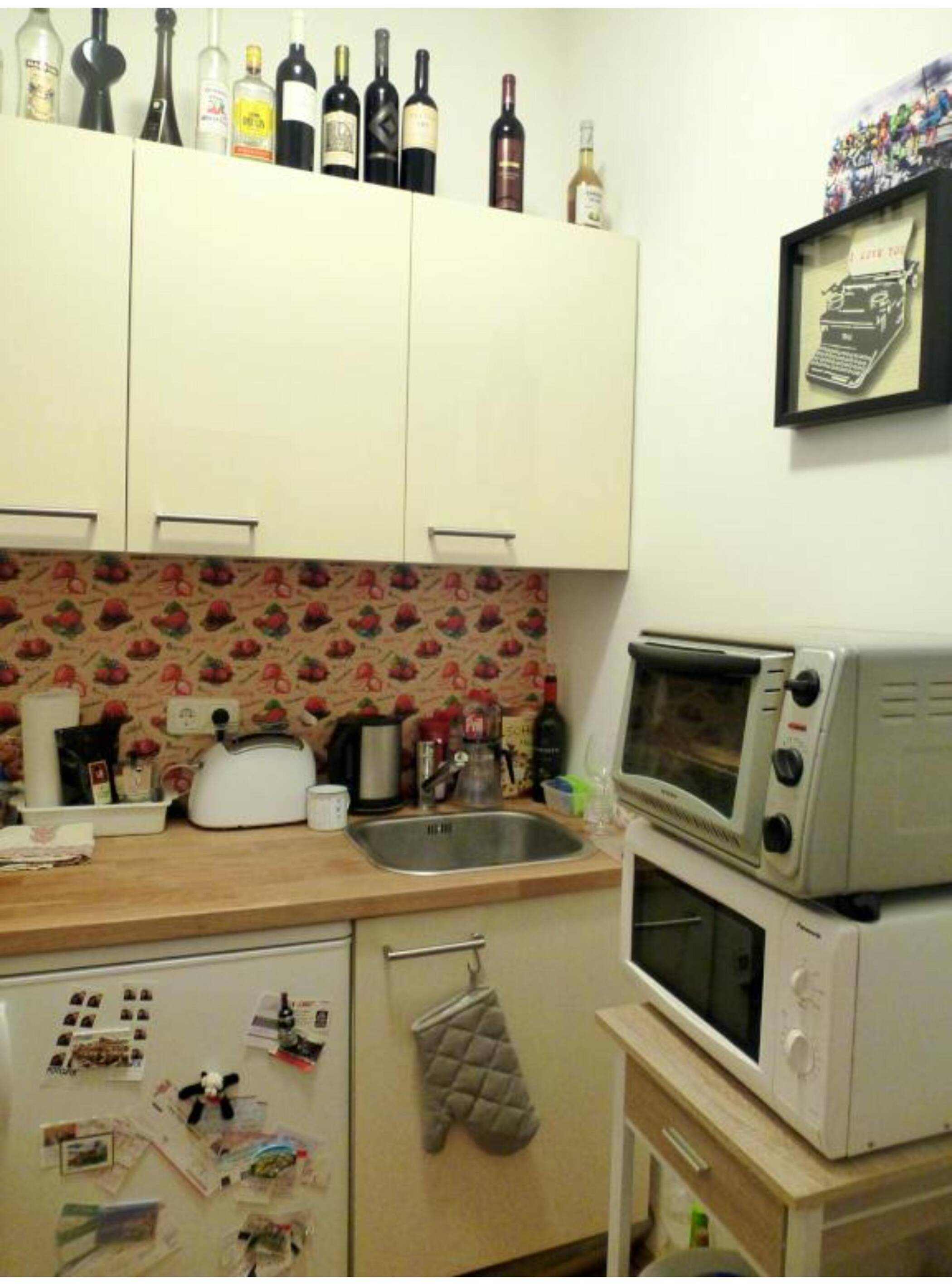 1-Zimmer-Wohnung ab sofort in Bobenheim-Roxheim zu vermieten, 67240 Bobenheim-Roxheim