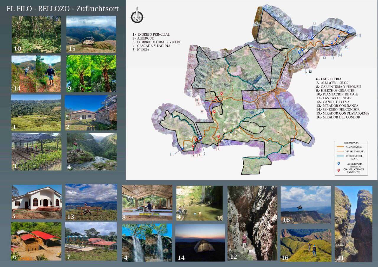 image-72700555