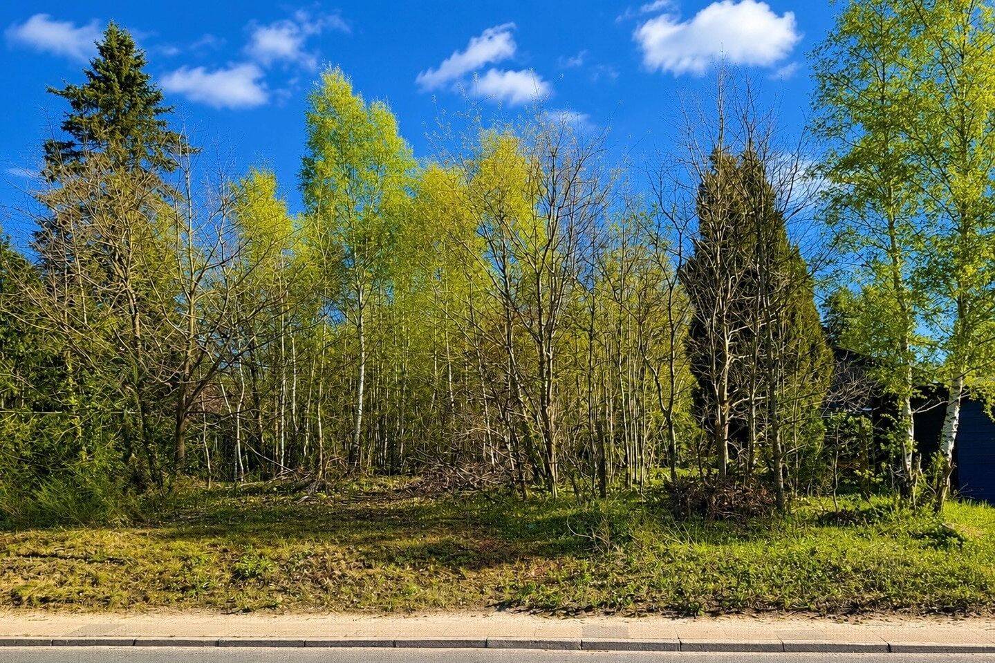Charmantes Grundstück mit viel Potential in der Nordheide!, 21244 Buchholz in der Nordheide