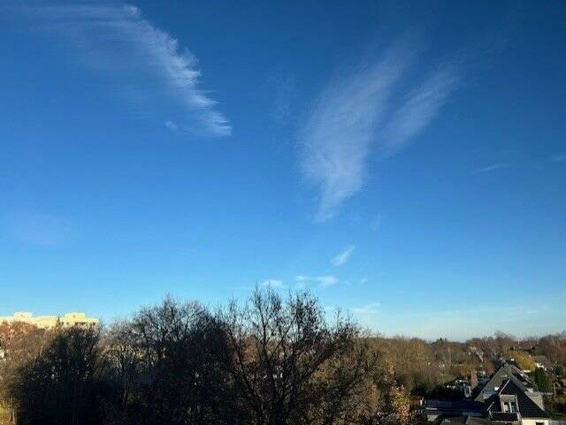 image-72664497