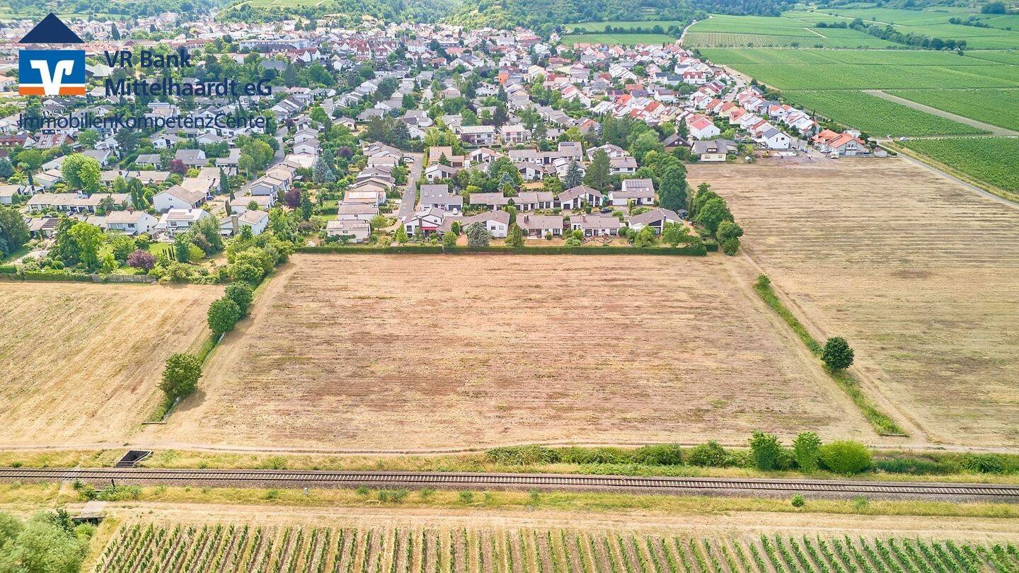 Neubaugebiet ,,Am Schwabenbach“ – 7 attraktive Grundstücke in Wachenheim!, 67157 Wachenheim an der Weinstraße