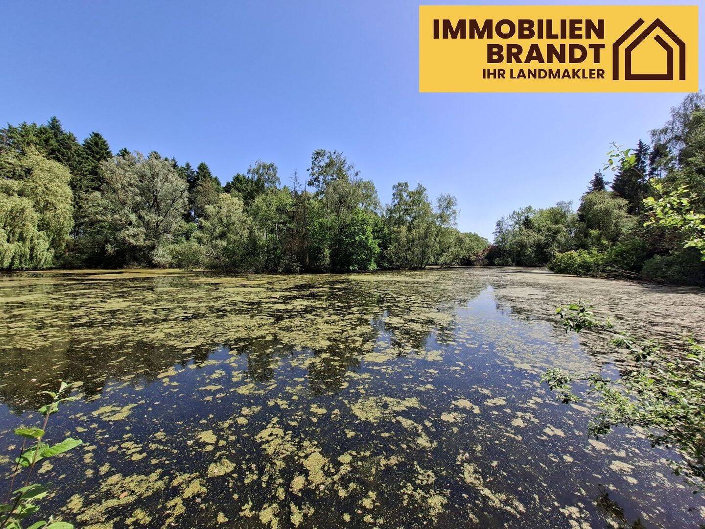 Freizeitgrundstück mit großem Fischteich in ruhiger Naturlage, 21698 Harsefeld