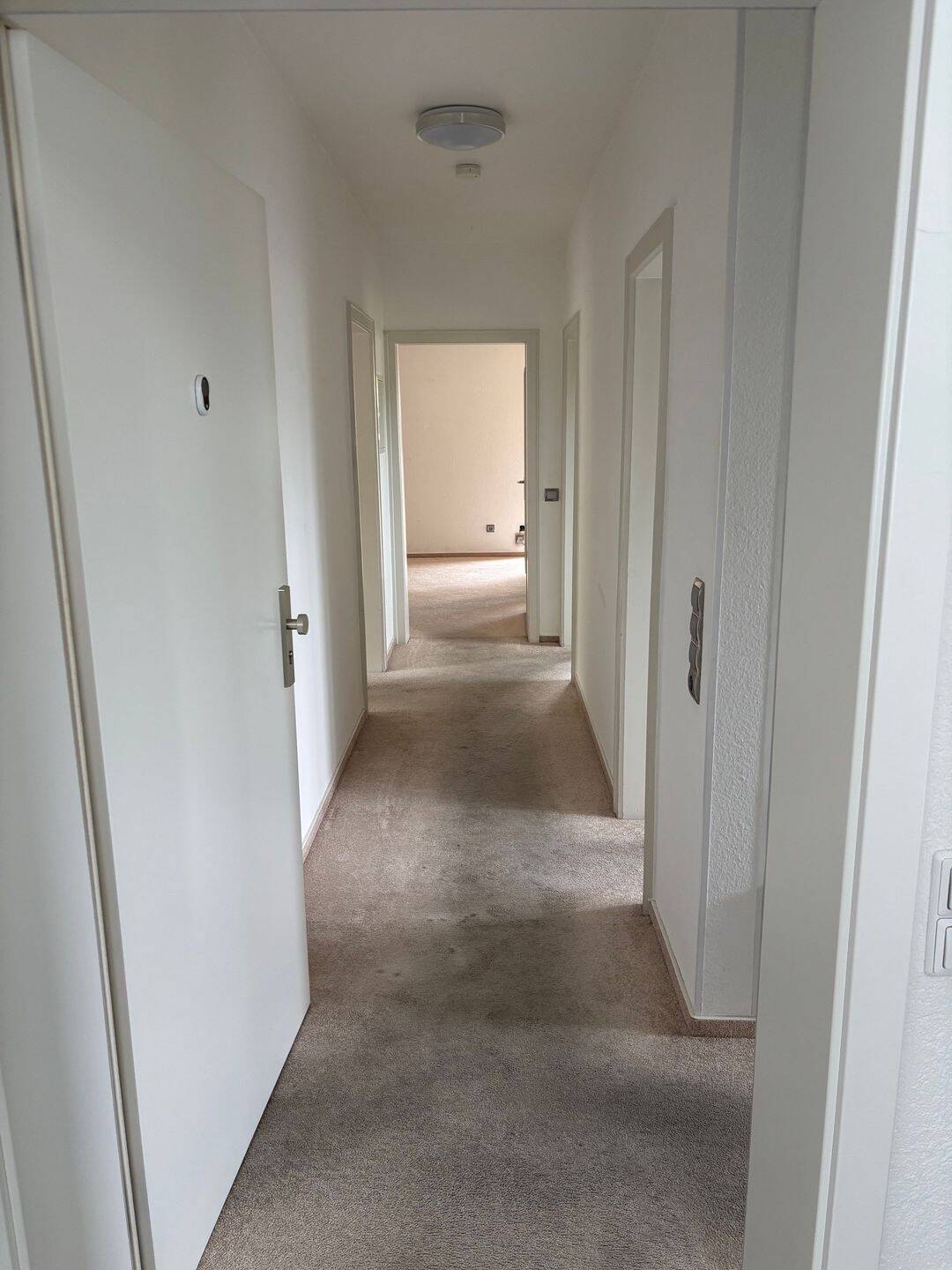 helle, gepflegte Wohnung, 76887 Bad Bergzabern