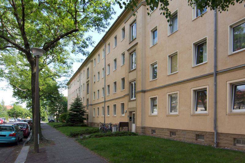 image-72788565