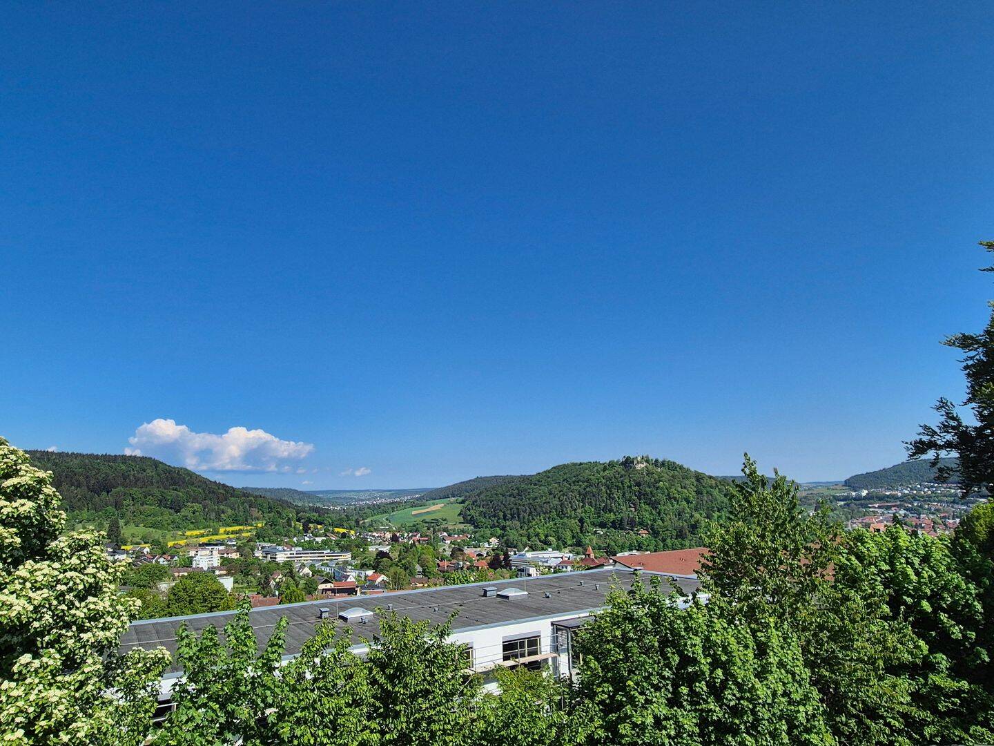 4,5 Zimmer-Wohnung mit Balkon & Panoramablick auf dem Lemberg, 72202 Nagold