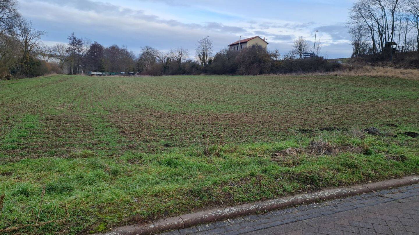 Seltene Gelegenheit: Resthof, 2.225 m² Grundstück, Halle, Baureserve und Photovoltaikanlage, 55234 Albig