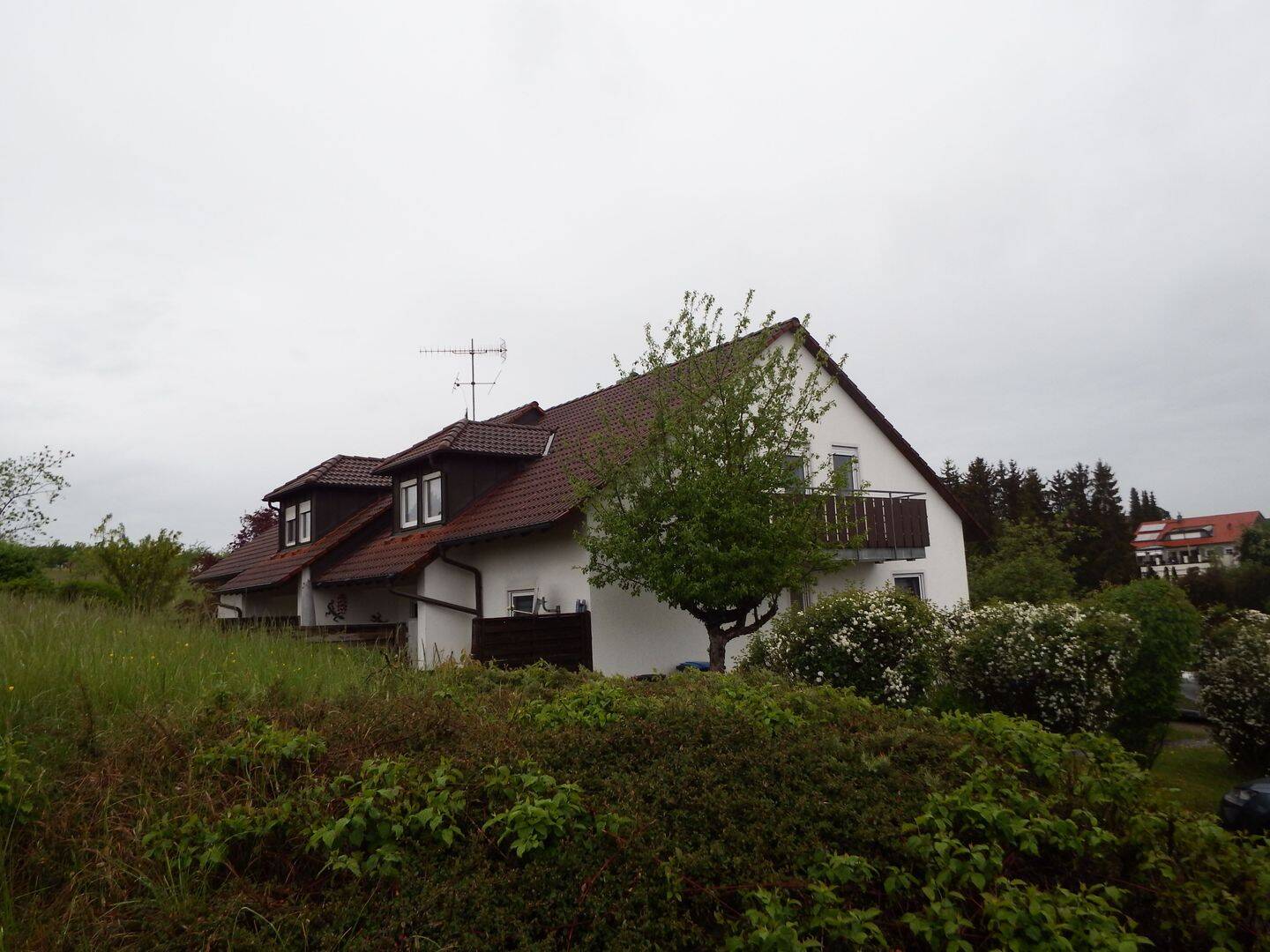 image-72655453
