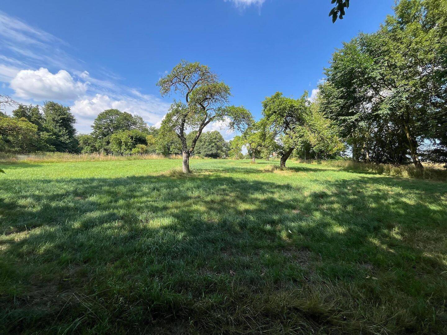 Viel Platz zum Leben – großzügiges Grundstück in Ostseenähe, 23948 Damshagen