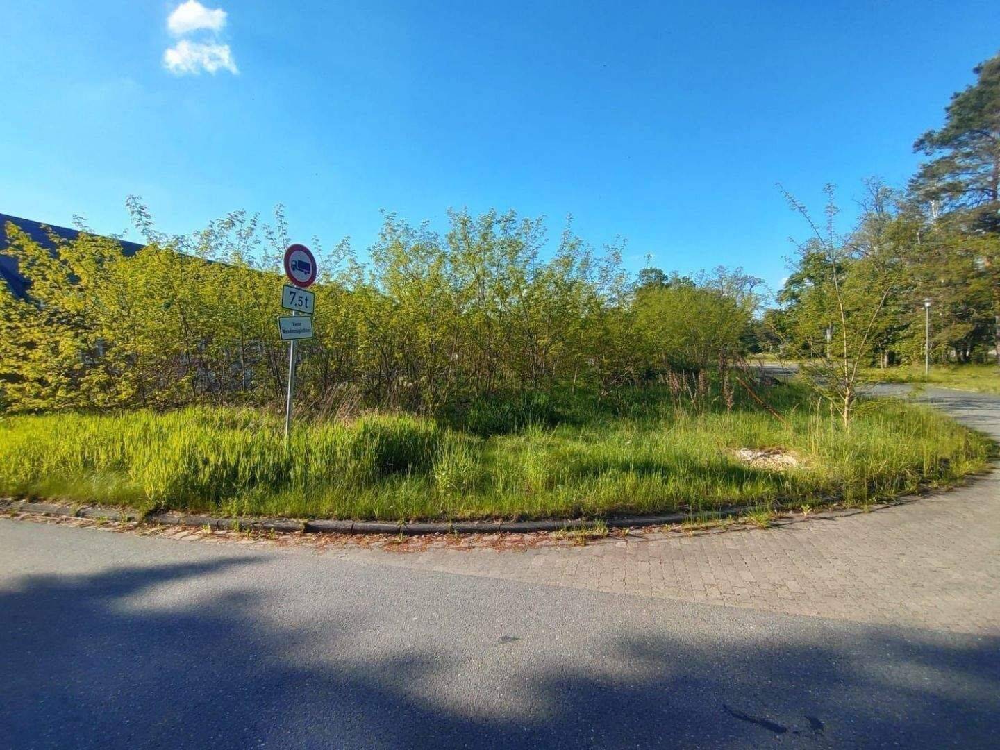 Attraktives Baugrundstück in gefragter Lage – flexibel nutzbar & sofort verfügbar, 29392 Wesendorf