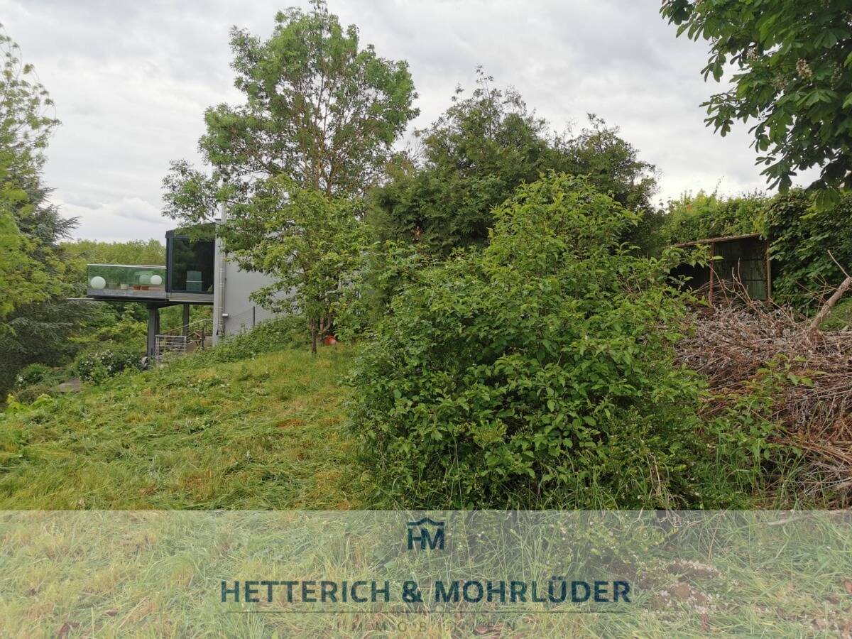 Grüne Oase in der Stadt – Baugrundstück für ein modernes Flachdachhaus und Weitblick, Sonnenseite, 97422 Schweinfurt