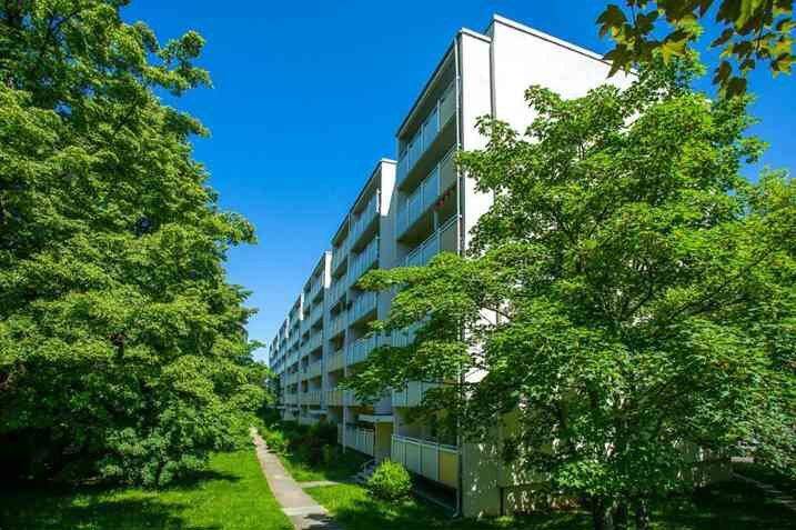 Aktuelle Renovierung einer praktischen 1-Raum-Wohnung!, 1169 Dresden