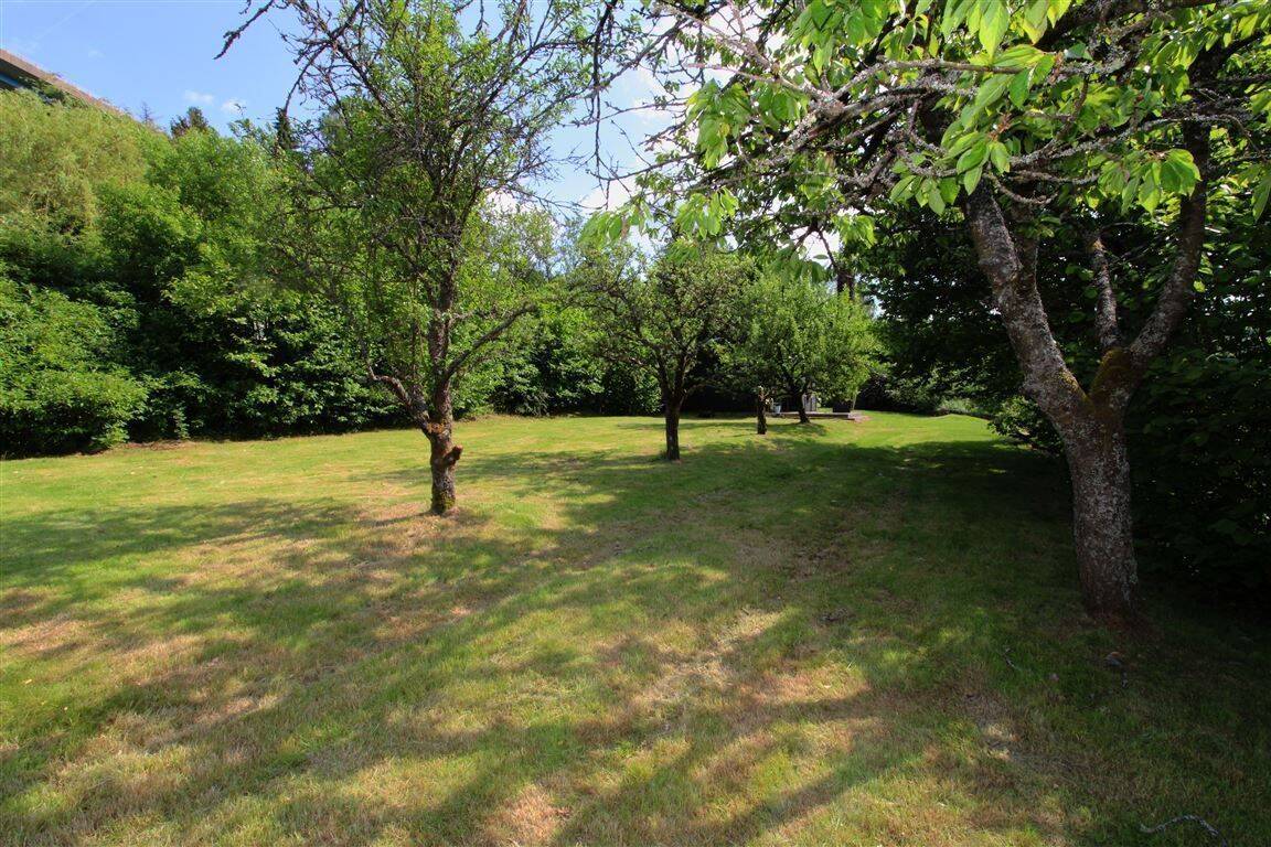Ihr Rückzugsort im Grünen: Freizeitgrundstück mit modernisiertem Bungalow & viel Privatsphäre, 98527 Suhl (Suhl)
