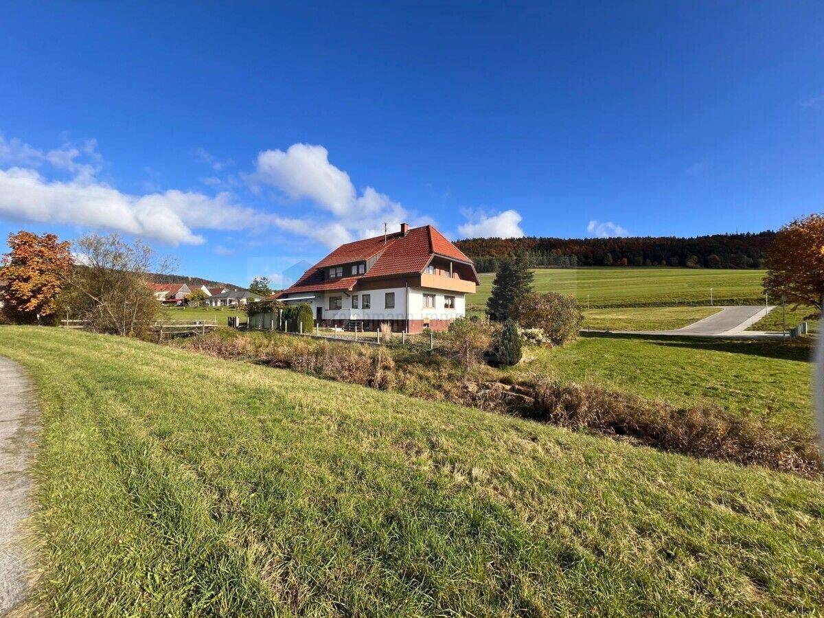 Einmalige Gelegenheit! Freistehendes Einfamilienwohnhaus mit Platz im Überfluss!, 78194 Immendingen