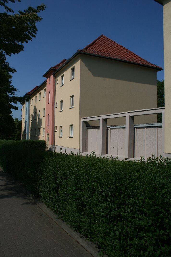 image-72584024